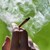 В Канбера легализираха марихуаната за лична употреба с развлекателна цел