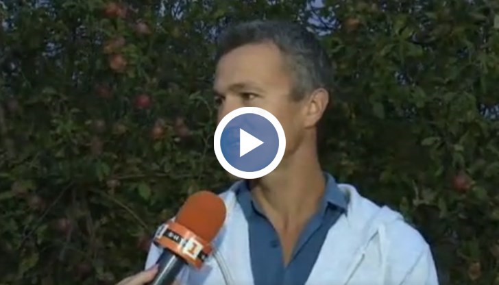 Овощари в Русенско недоволстват заради ниските изкупни цени и вноса на плодове