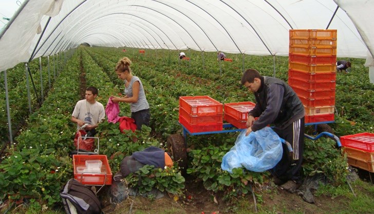 Очертава се криза за работниците в Англия Очертава се криза за работниците в Англия