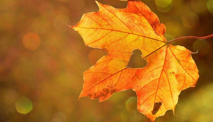 Първи полъх на есента Първи полъх на есента