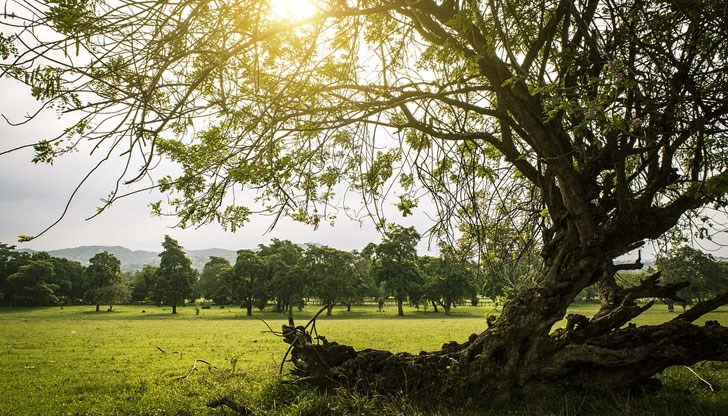 Каква е вероятността за валежи Каква е вероятността за валежи