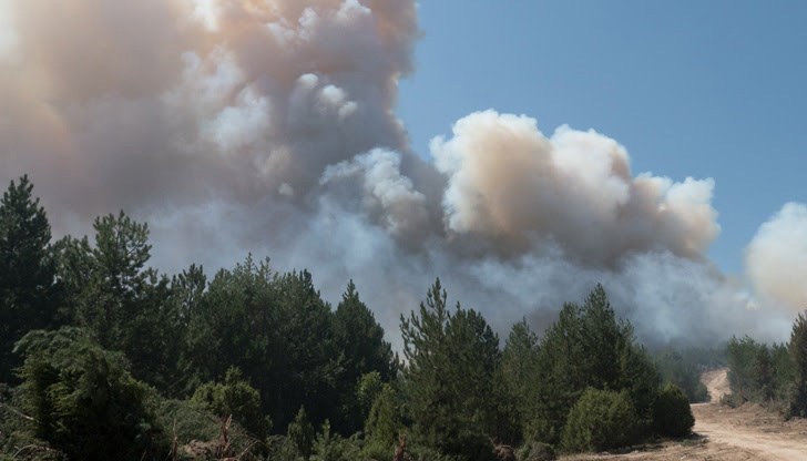 20 огнеборци гасят пламъците /Снимката е илюстративна/