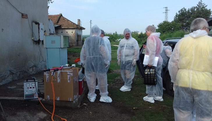 През изминалата седмица не са регистрирани нови огнища на африканска чума по свинете в област Русе