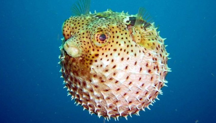 Това е станало на плаж в град Анамур Това е станало на плаж в град Анамур