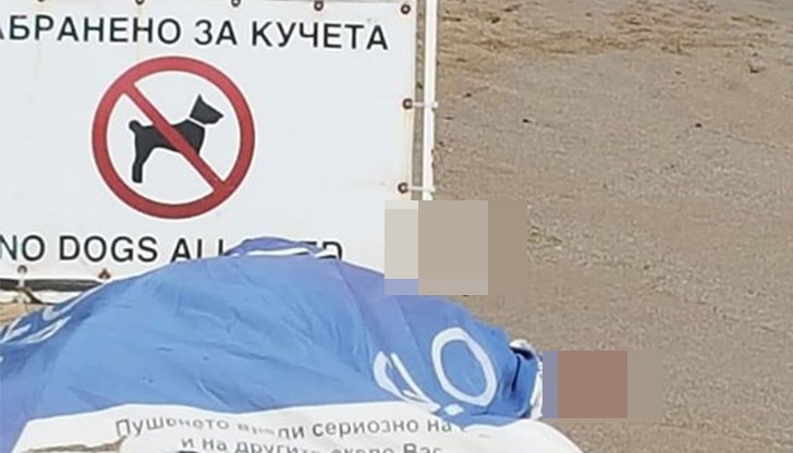 Бърза помощ и полицията са реагирали на сигналите незабавно, но за съжаление само констатирали смъртта на жената