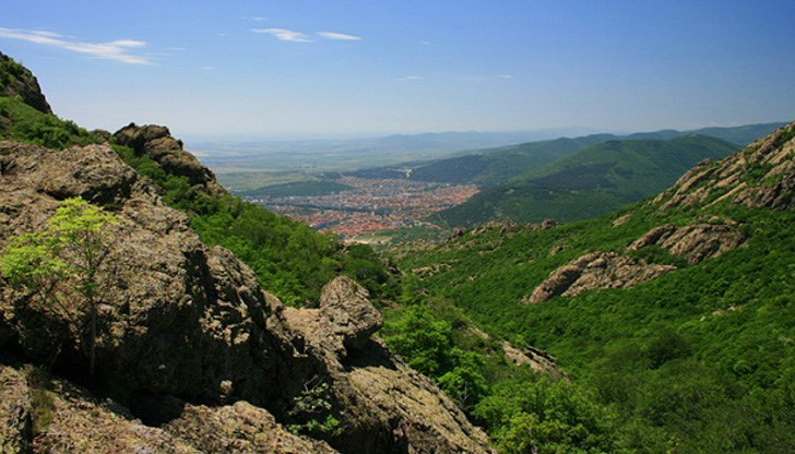 Открити са след спасителна акция Открити са след спасителна акция