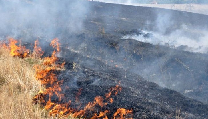 Причината за отчетените превишения на фини прахови частици (ФПЧ10) в периода 12-14 септември е изгаряне на следжътвени остатъци в съседна Румъния