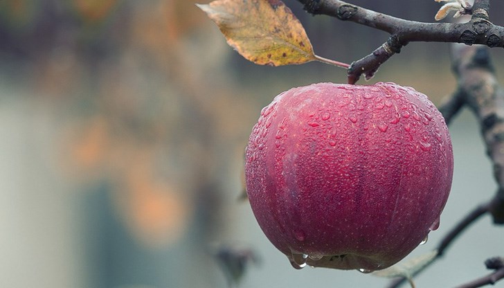 Лятото не завижда... Лятото не завижда...