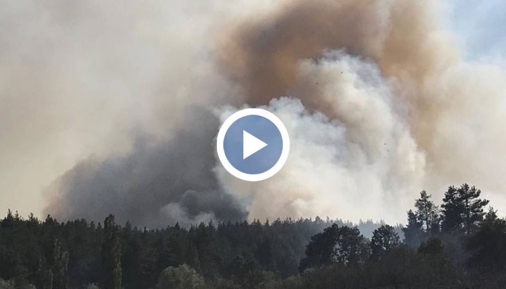 Горят 200 декара борови гори