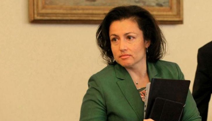 Има отказани заявления за обезщетение при чума по свинете, заяви министър Танева