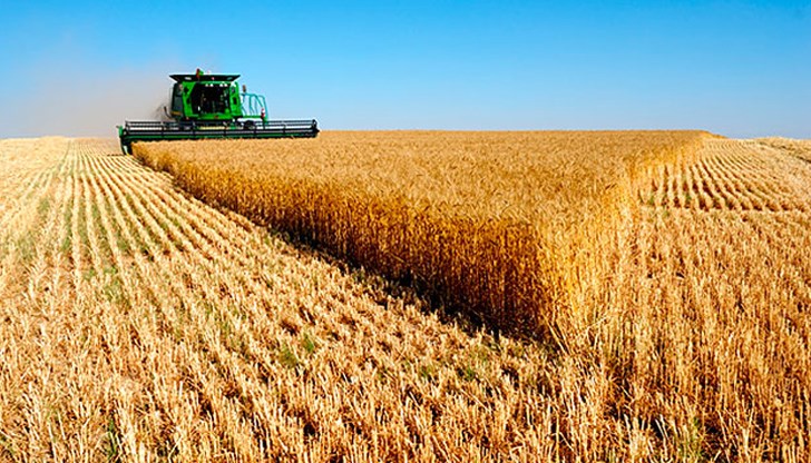 Северната ни съседка се превърна в най-големия износител на зърнени култури