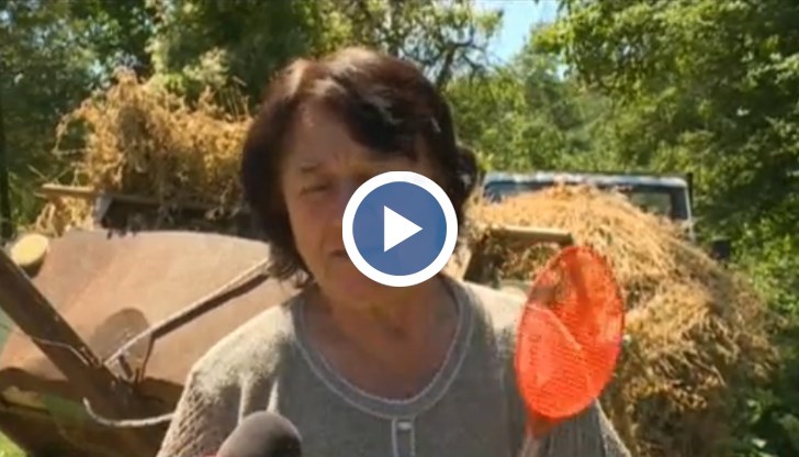 Как хората се борят сами с битовата престъпност