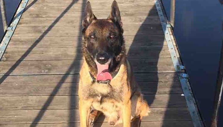 Кучето е служител в отдела от 12 години