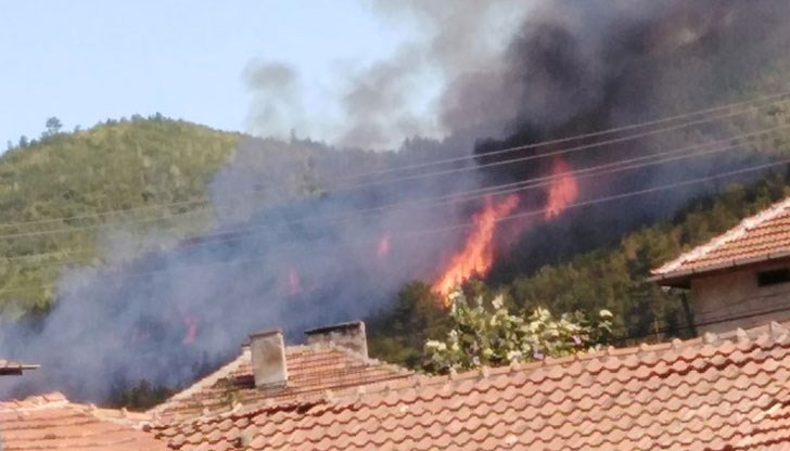 Търсят доброволци за овладяване на пламъците