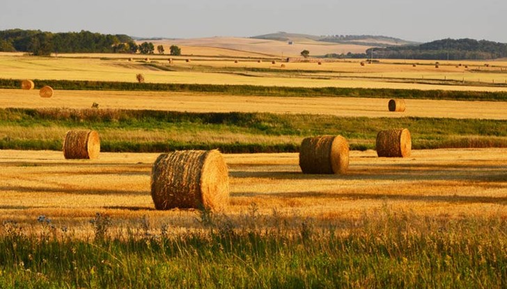 Земята носи доходност, която е 500 пъти по-голяма от парите на депозит Земята носи доходност, която е 500 пъти по-голяма от парите на депозит