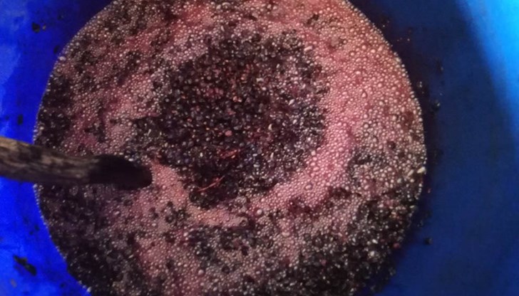 Ароматът на мерлото е по-хубав от френски парфюм…