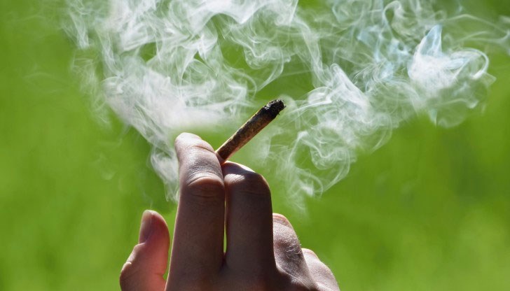 В австралийската столица ще бъде разрешено до 50 грама изсушена марихуана или отглеждането на две растения, считано от 31 януари догодина