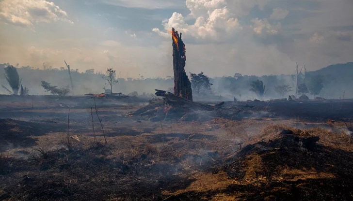 Пожарите в Амазония показаха за пореден път игнорирането на климатичните проблеми в полза на бизнес интересите.