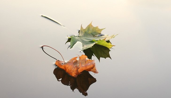 Ще завали ли дъжд? Ще завали ли дъжд?