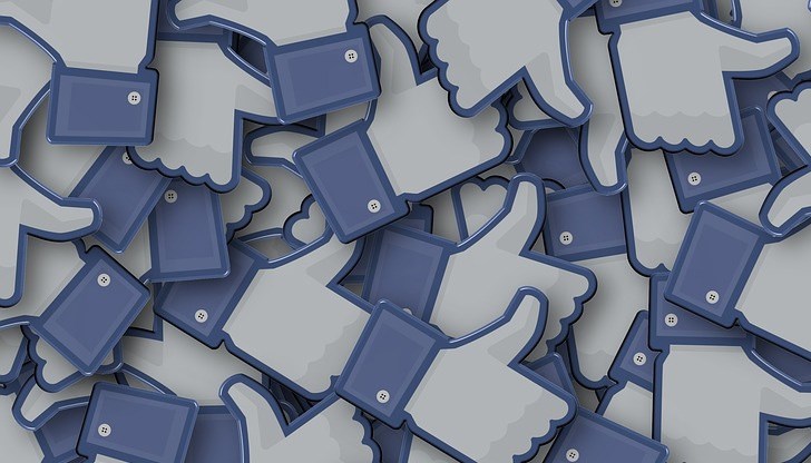 Такива, които споделят цветя и кученца... Такива, които споделят цветя и кученца...