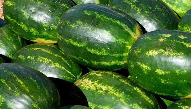 Не е патриотично, но е по-хубава от нашата, твърдят познавачи Не е патриотично, но е по-хубава от нашата, твърдят познавачи