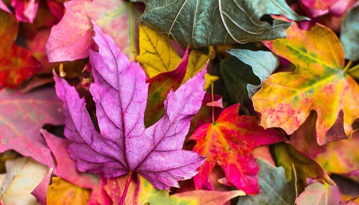 Дневните температури ще приближат 30 градуса Дневните температури ще приближат 30 градуса