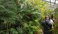 Ботаническата градина на БАН пази растения, свидетели на две войни