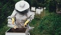 Пчеларите могат да кандидатстват за държавна помощ