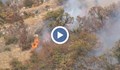 Туристи причиниха голям пожар край Бузлуджа