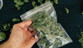 Спипаха младеж с 50 грама марихуана в Русе