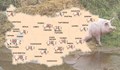 Класация на провинилите се свинари в страната