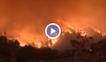 Арнолд Шварценегер е принуден да бяга от пожарите в Калифорния