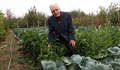И на 80 години бай Драгостин не спира да върти мотиката в разсадника