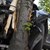 Загиналият край Нова Черна шофьор се е блъснал в дърво