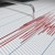 Земетресение от 5,9 по Рихтер разтърси Чили
