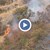 Туристи причиниха голям пожар край Бузлуджа