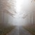 Предупреждение за гъста мъгла над пътищата в Русенско