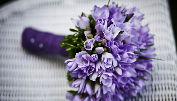 Честит празник на всички именици! Честит празник на всички именици!