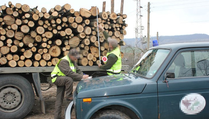 Горският взимал подкупи от фирми, занимаващи се с дърводобив