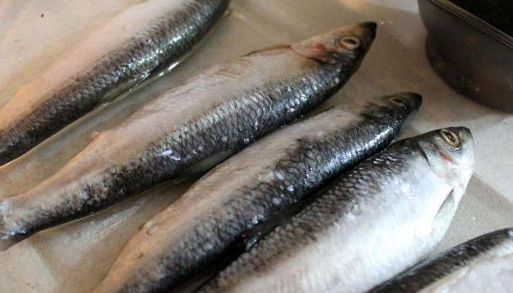 Гражданите, закупили заразените продукти, могат да го върнат в магазините, откъдето изтеглянето ще продължи Гражданите, закупили заразените продукти, могат да го върнат в магазините, откъдето изтеглянето ще продължи