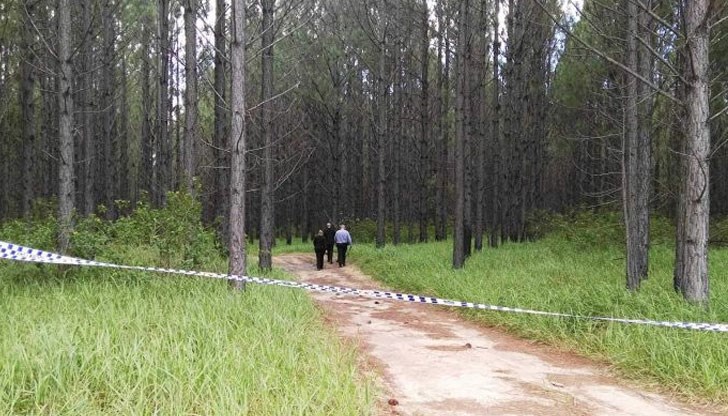 Американецът смятал, че е застрелял животното Американецът смятал, че е застрелял животното