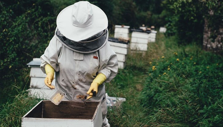Финансова подкрепа имат право да получат пчелари, които притежават най-малко 20 пчелни семейства