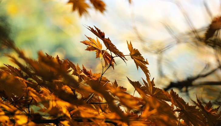 Очакват ни тихи нощи и лек вятър през деня Очакват ни тихи нощи и лек вятър през деня