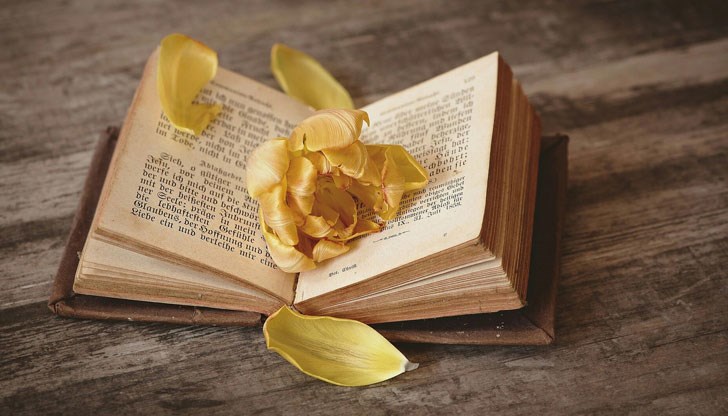 Прости ми, мила мамо