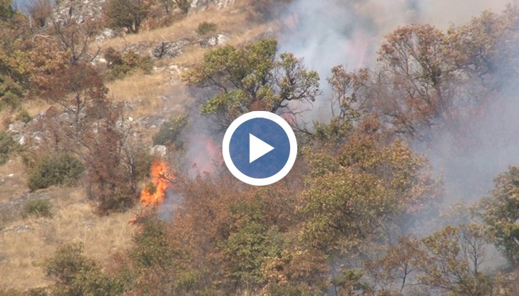 Местността е труднодостъпна и пожарникарите се опитват да спрат огъня на ръка