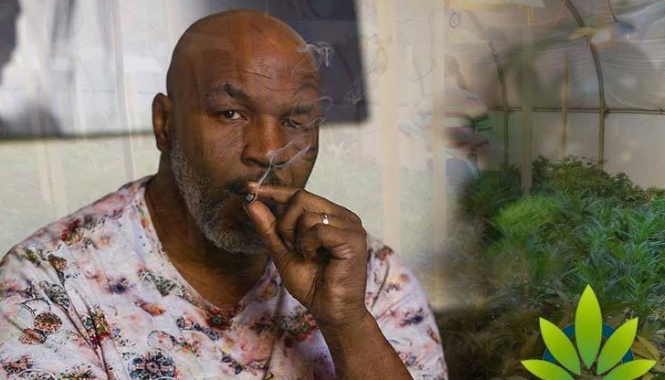 Ако не пушех, никога нямаше да тренирам, твърди легендарният боксьор Ако не пушех, никога нямаше да тренирам, твърди легендарният боксьор