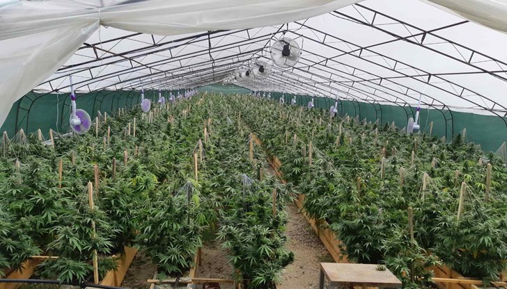 Криминалистите откриха 4 перфектно оборудвани оранжерии по 1 дка в бетонов възел