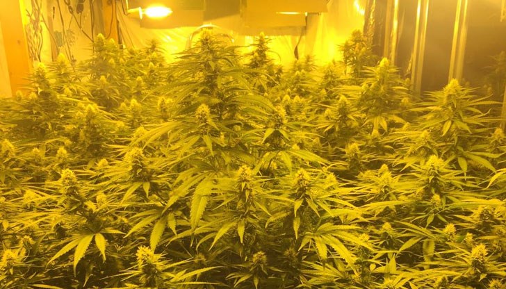 Задържани са двама души