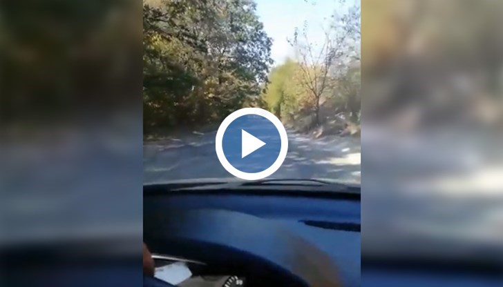 Преди изборите 2050 г. ли?