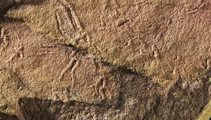 Този организъм се е срещал преди почти 2 милиарда години